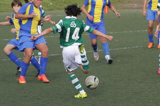 国际足球协会推动足球全民普及，青少年参与度飙升，各国青少年足球注册人口