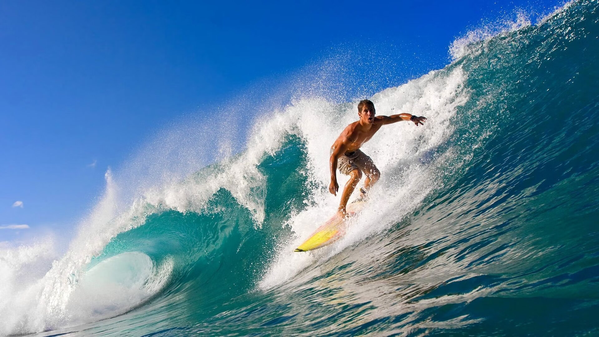女子篮球联赛精彩瞬间 年轻球员崛起，女子篮球 帅